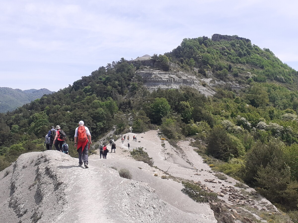 RUTA CASTELL DE MONTESQUIU